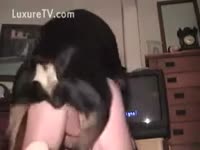 Zoophilia Sex Film - Husband fucked in the gazoo by his pet dog